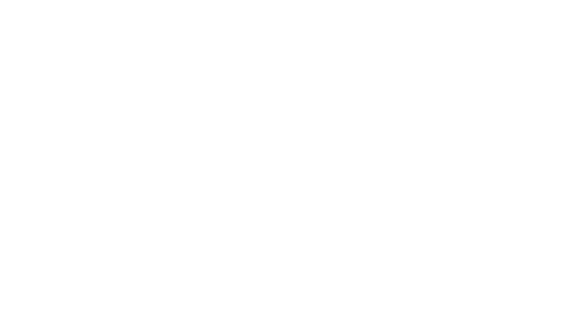 Orion